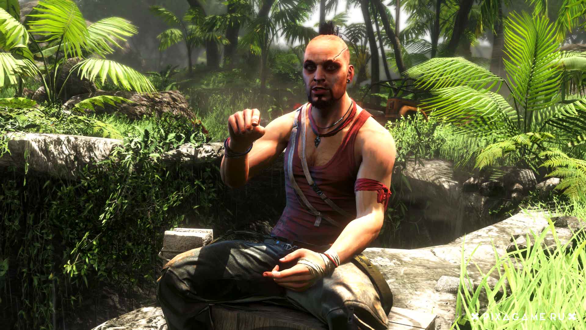 Лайфхак для жизни! Чему можно научиться у Вааса Монтенегро из «Far Cry 3»?