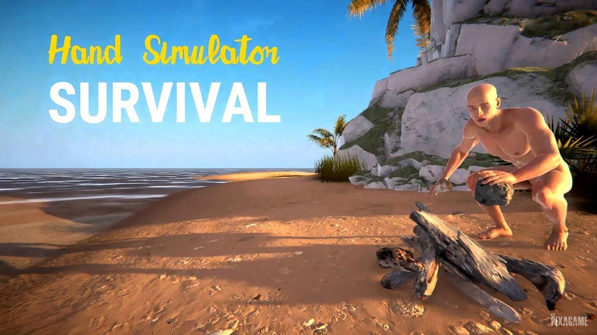 Hand Simulator