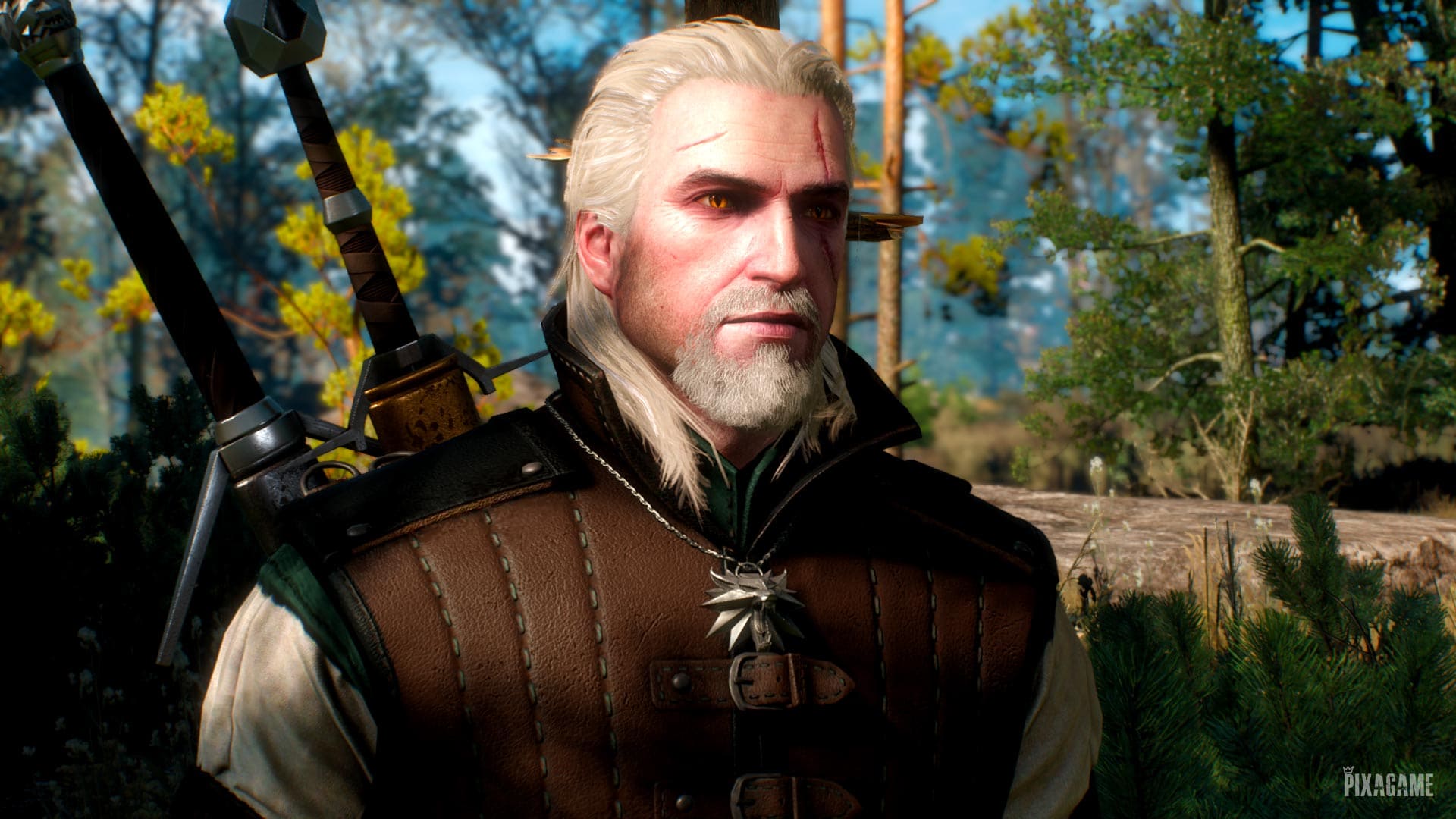 The Witcher 3: Wild Hunt