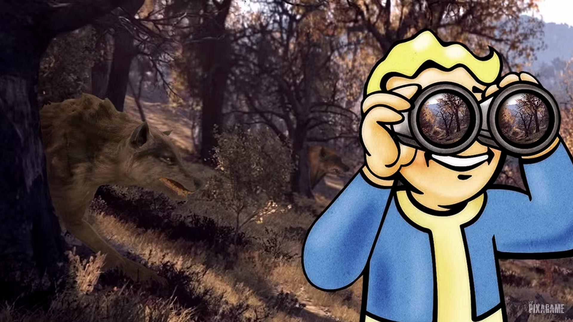 Топ-10 советов по строительству лагеря в Fallout 76