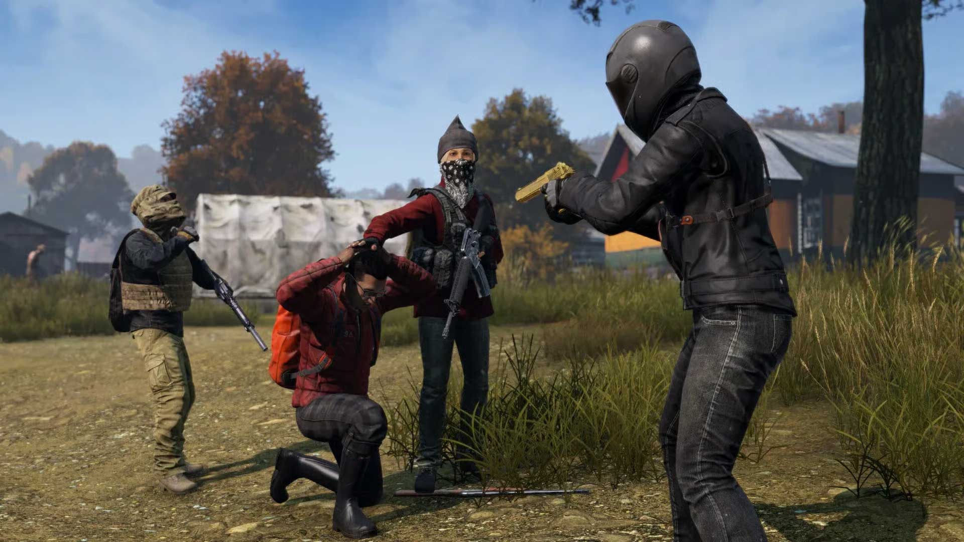 DayZ (PvE-серверы)